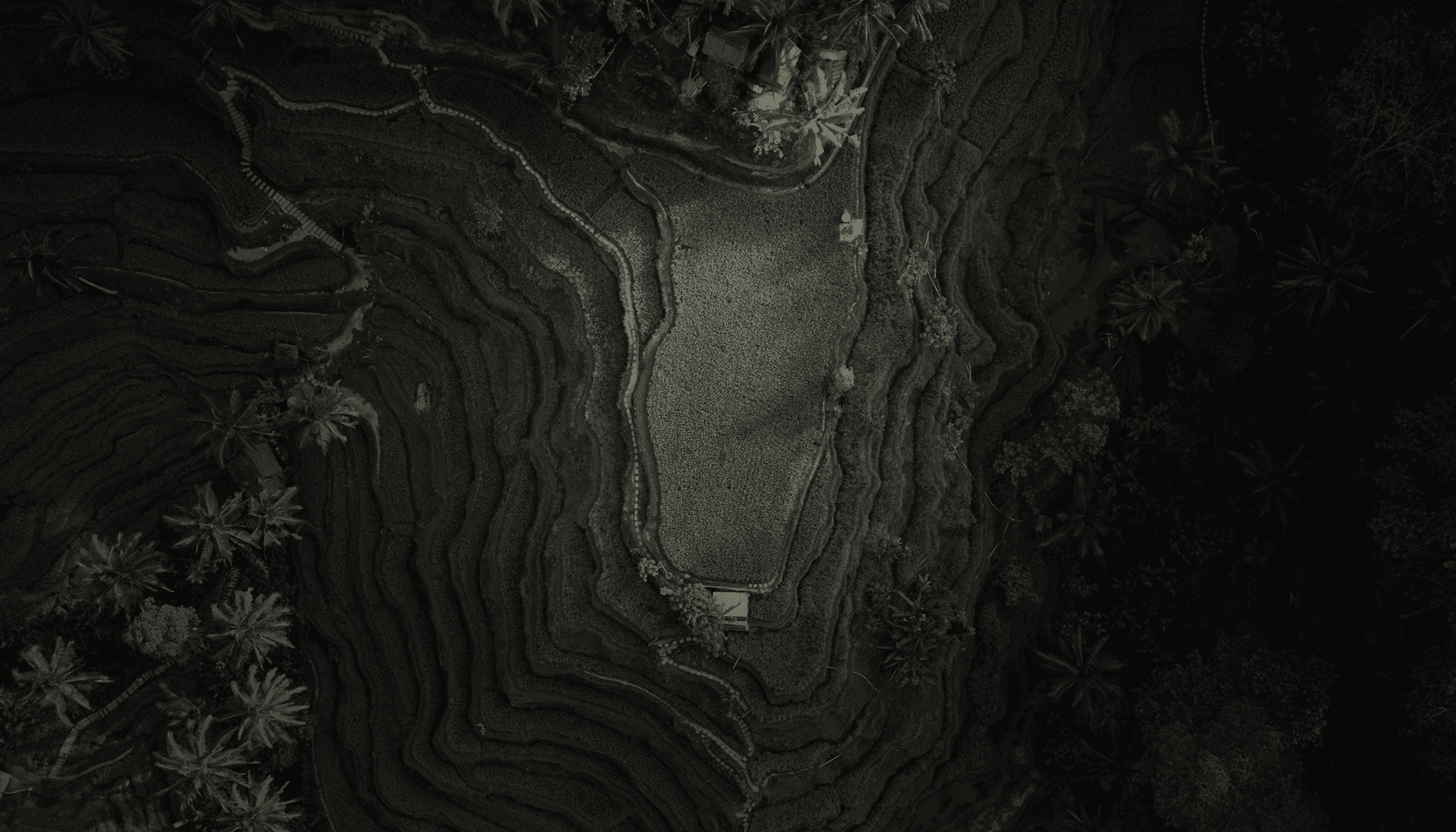 Aerial view of Bali rice terraces surrounded by lush tropical greenery